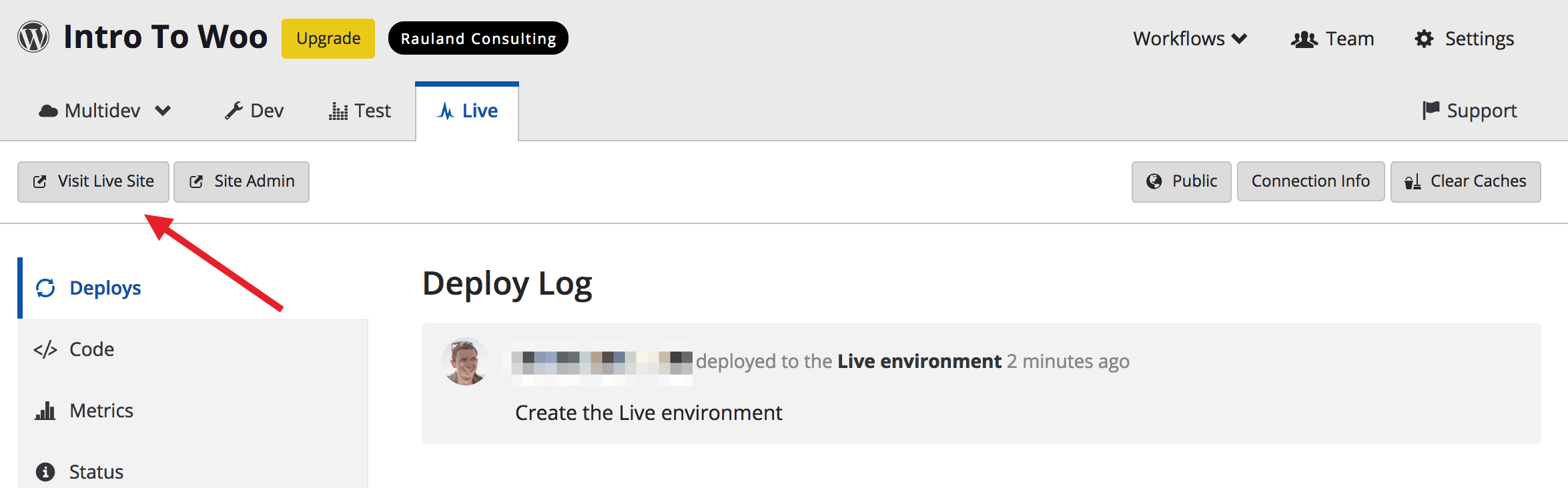 Visit live site button on the Pantheon dashboard