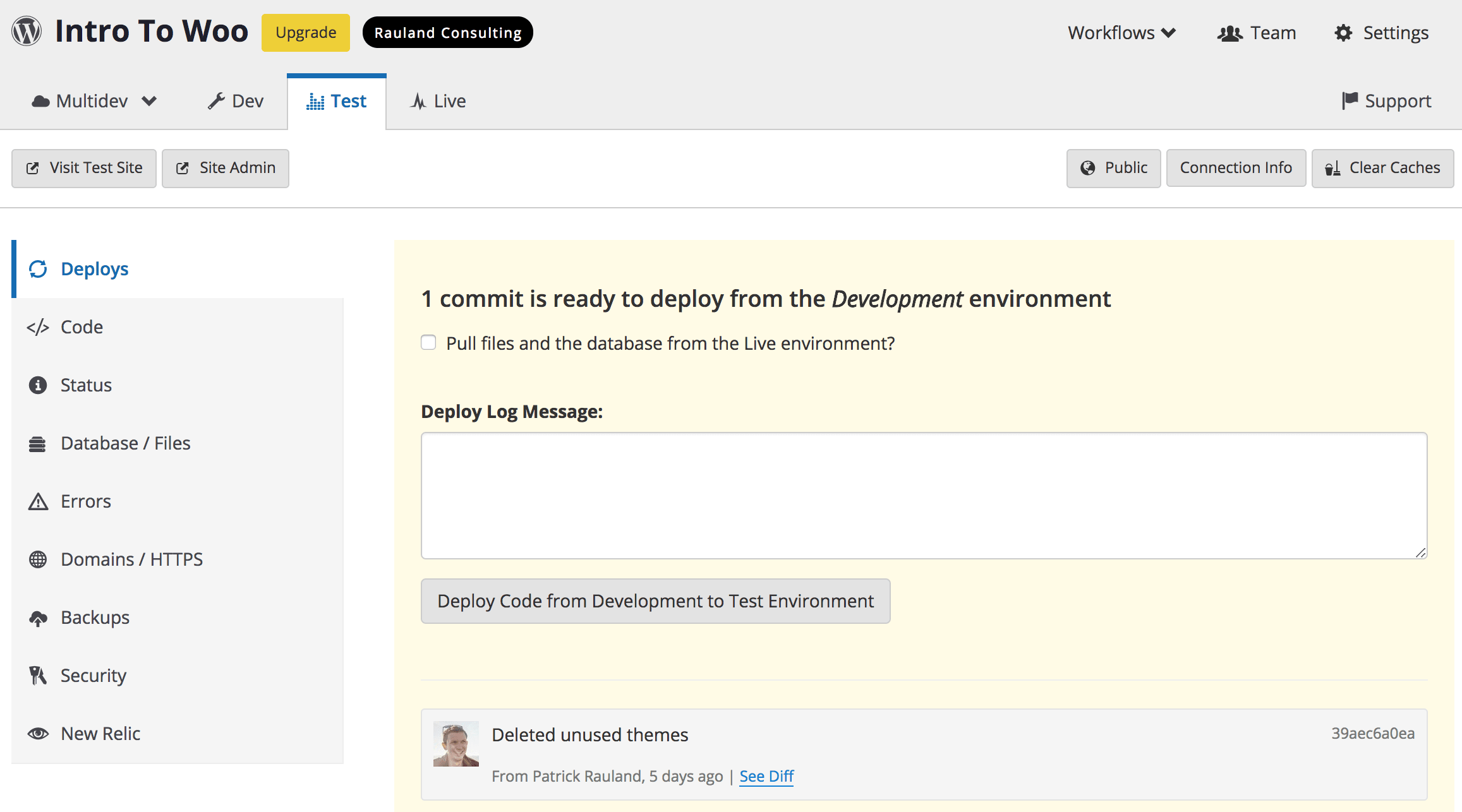 Pantheon dashboard deployment log with deleted themes