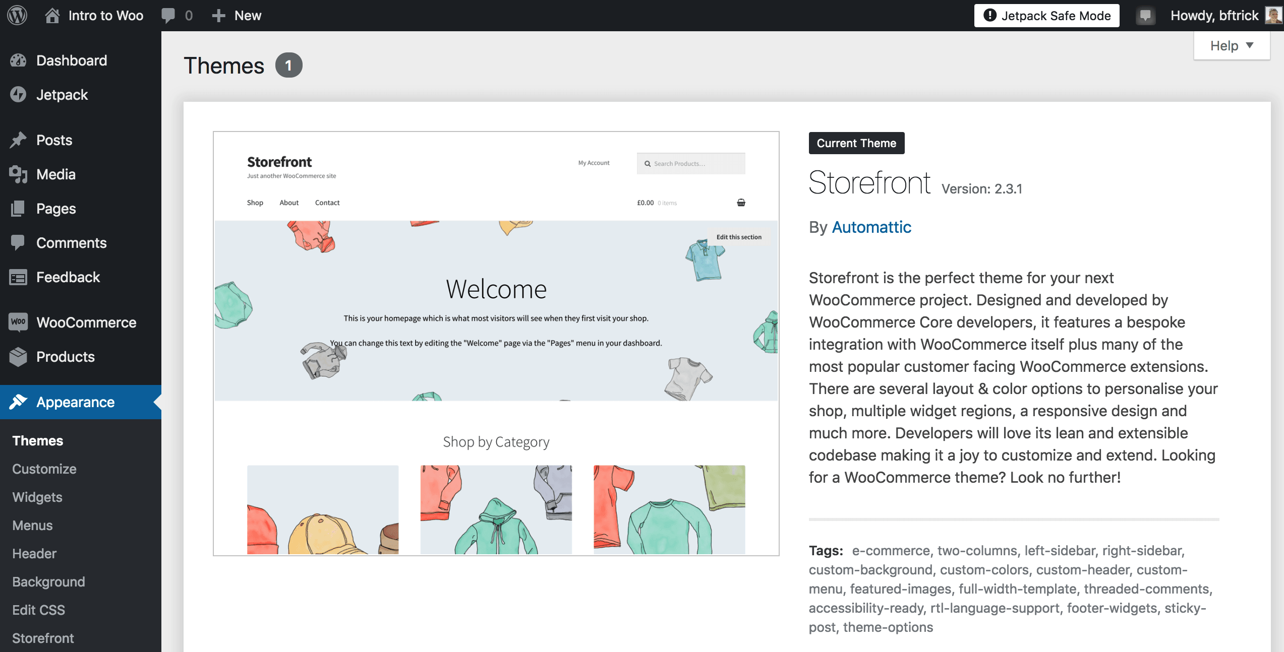 The WordPress dashboard showing only a single theme installed