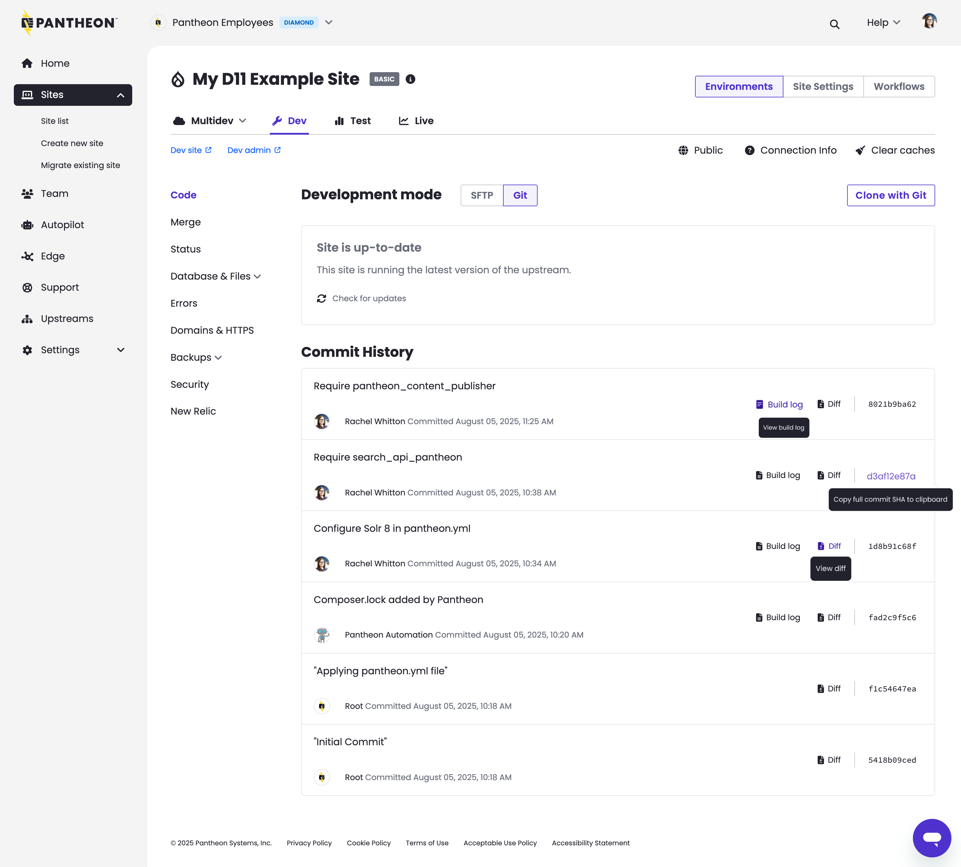 Shows a preview of the new/fresh commit log