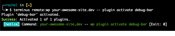 terminus remote:wp your-awesome-site.dev --plugin activate debug-bar