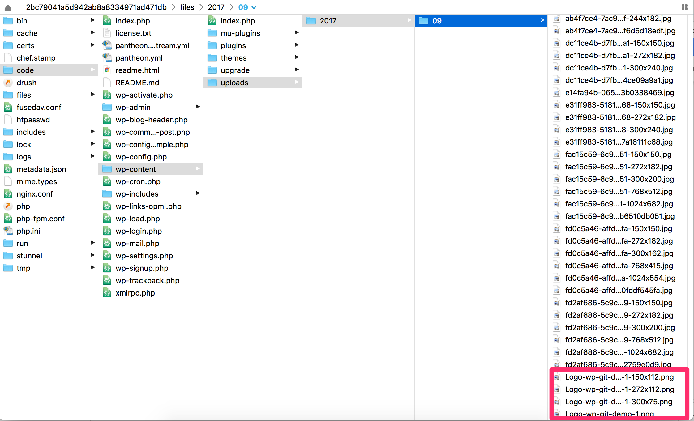 WP-Uploads file directory
